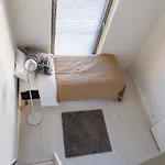 Spot Tikkurila